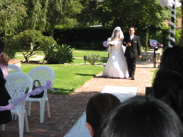 617x456 pixels (142K)